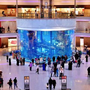 Buy Bahrain Email Consumer Database List 125 000 Emails who have visited aquariums in Malls in Manama